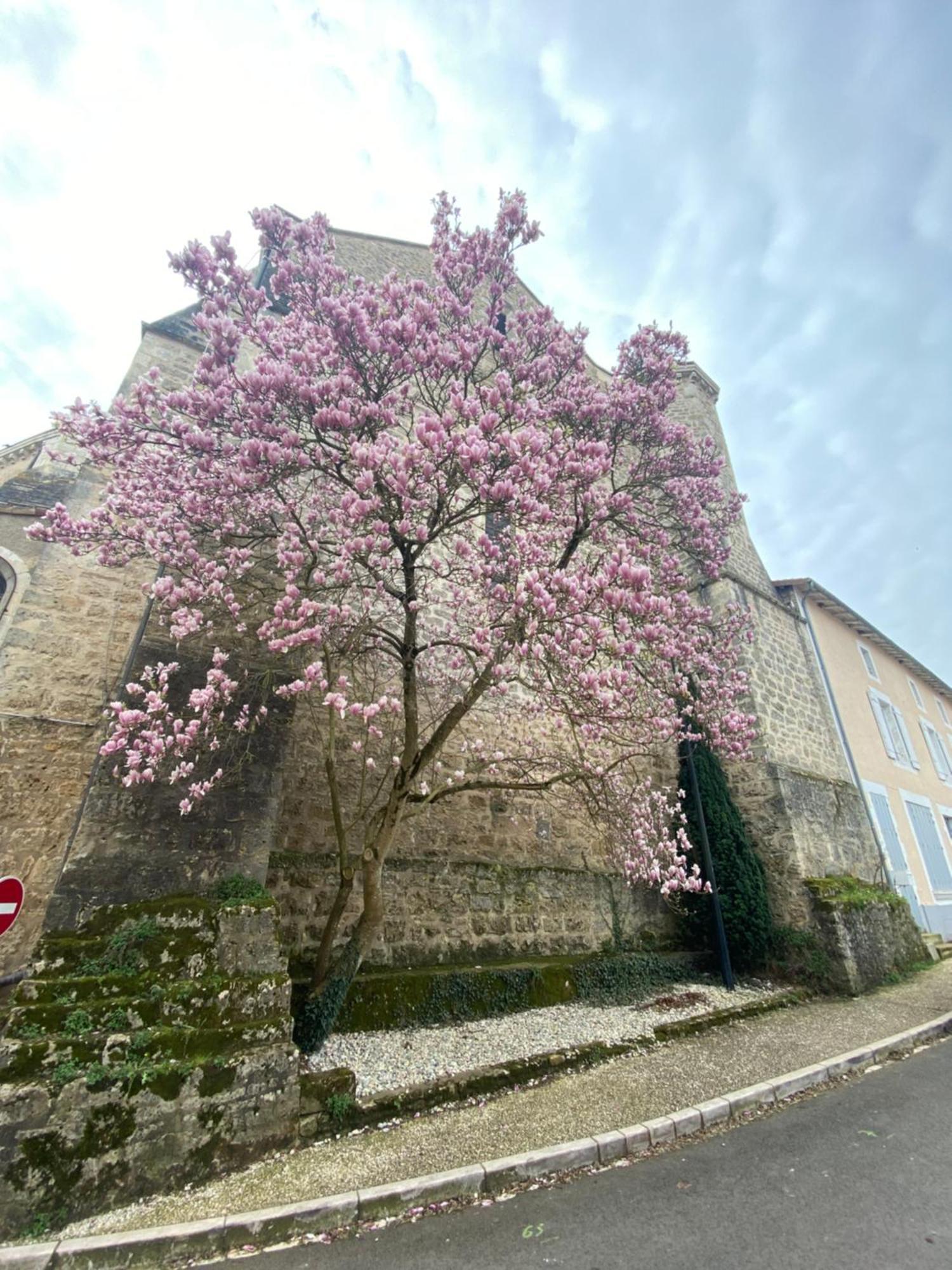 Logis Hotel Le Saint Georges Vivonne Eksteriør bilde